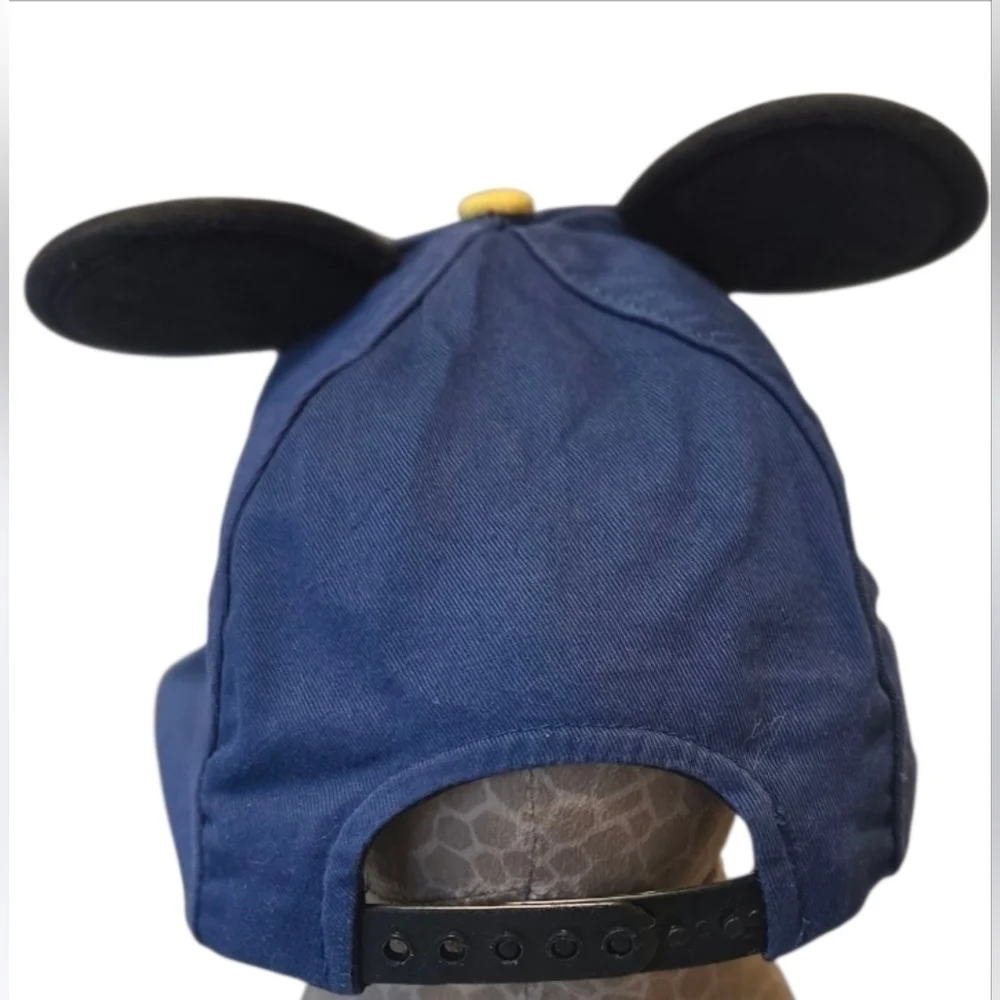 Disney authentic parks